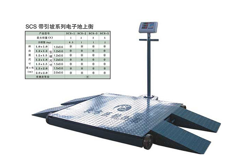 電子地上衡 移動(dòng)式帶引坡 YD2T-2